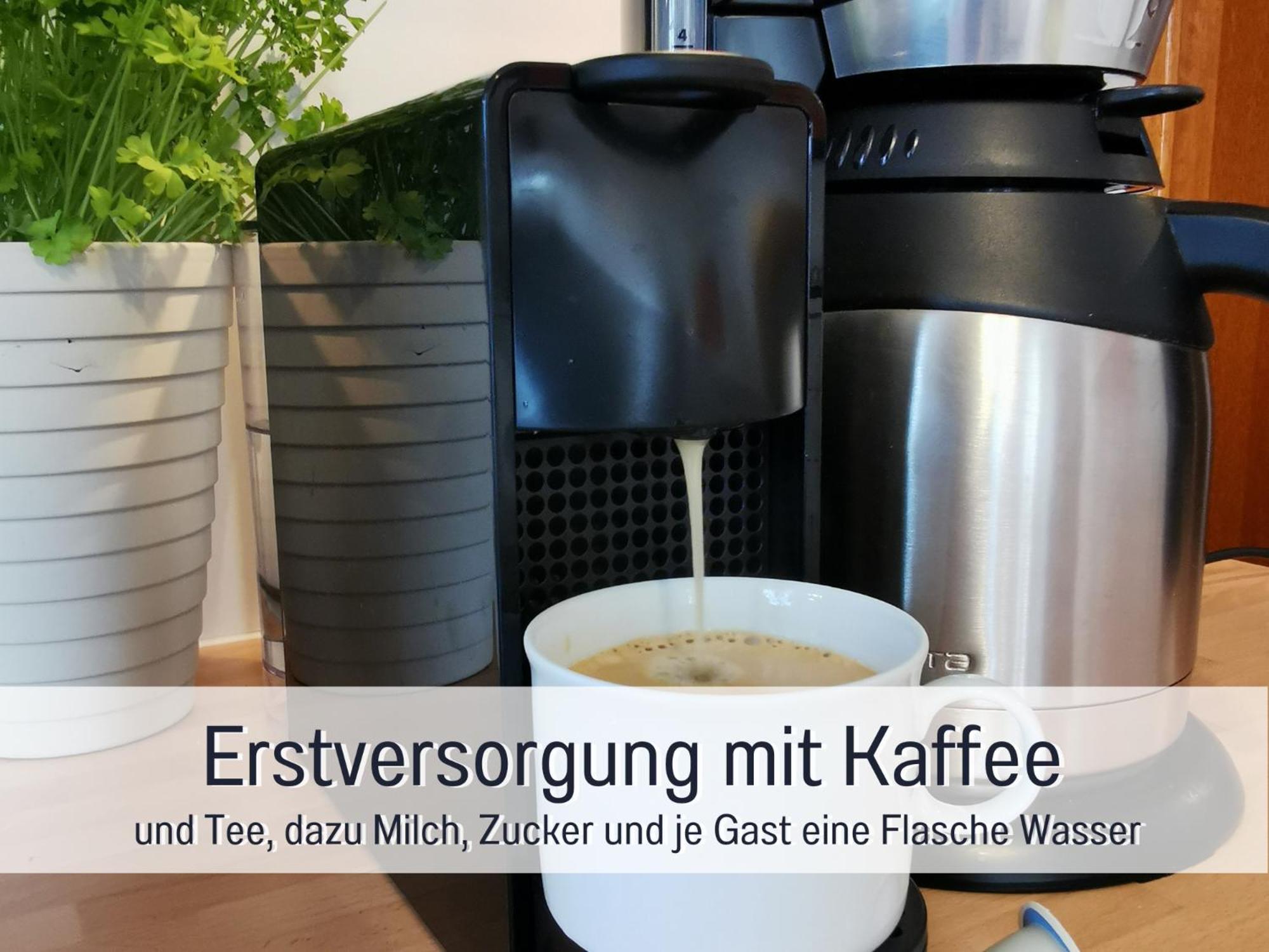 Ferienhaus Schwaab-Scherr, Genau Zwischen Bernkastel-Kues Und Traben-Trarbach, Mit Kostenlosem Oepnv-Ticket Fuer Bus Und Bahn, Parkplaetzen, Fahrradgarage Und Vielen Tipps Erden Extérieur photo