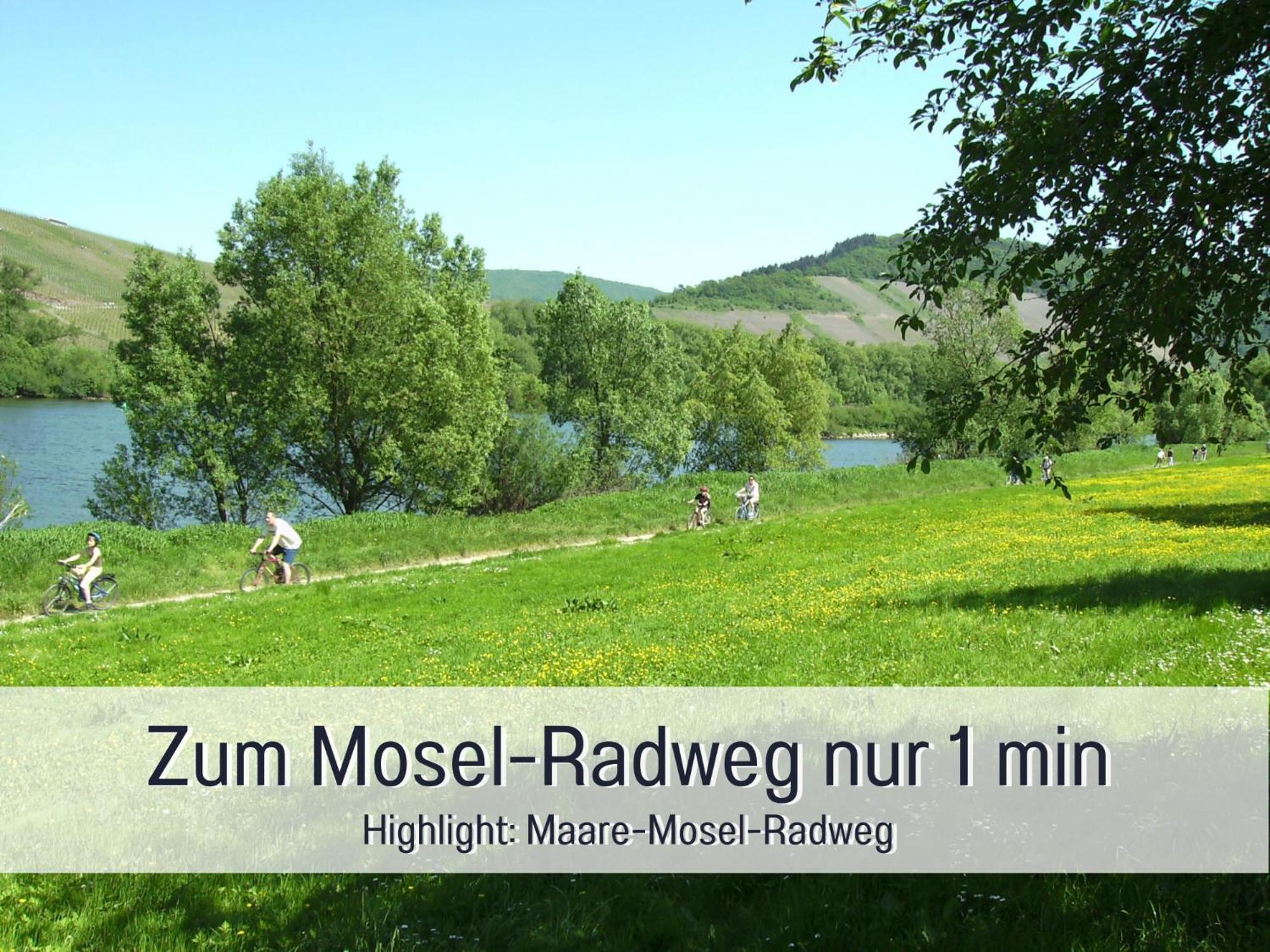 Ferienhaus Schwaab-Scherr, Genau Zwischen Bernkastel-Kues Und Traben-Trarbach, Mit Kostenlosem Oepnv-Ticket Fuer Bus Und Bahn, Parkplaetzen, Fahrradgarage Und Vielen Tipps Erden Extérieur photo