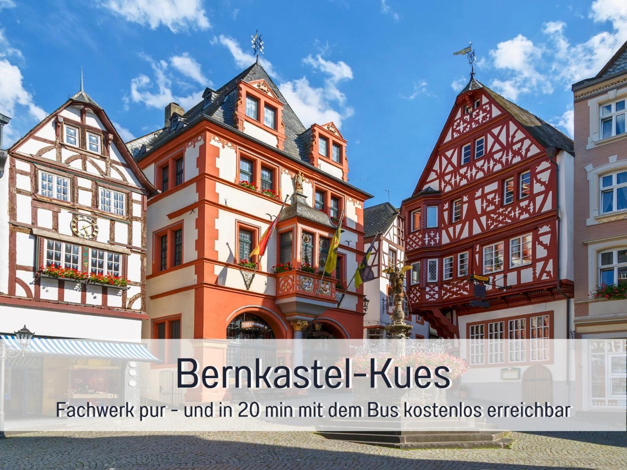 Ferienhaus Schwaab-Scherr, Genau Zwischen Bernkastel-Kues Und Traben-Trarbach, Mit Kostenlosem Oepnv-Ticket Fuer Bus Und Bahn, Parkplaetzen, Fahrradgarage Und Vielen Tipps Erden Extérieur photo