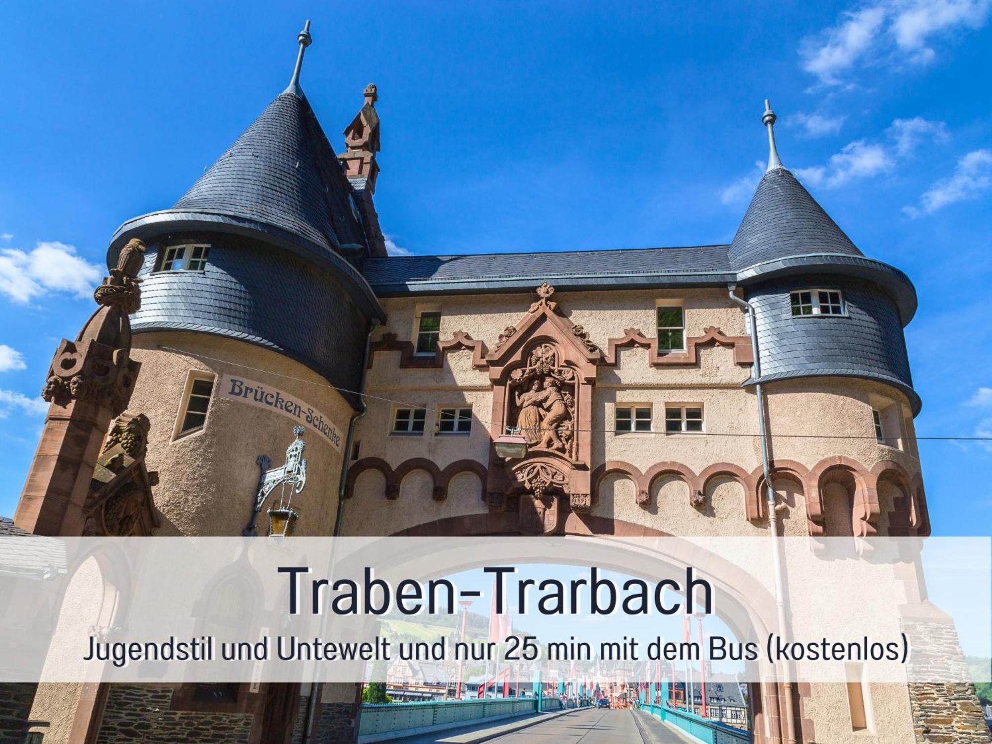 Ferienhaus Schwaab-Scherr, Genau Zwischen Bernkastel-Kues Und Traben-Trarbach, Mit Kostenlosem Oepnv-Ticket Fuer Bus Und Bahn, Parkplaetzen, Fahrradgarage Und Vielen Tipps Erden Extérieur photo