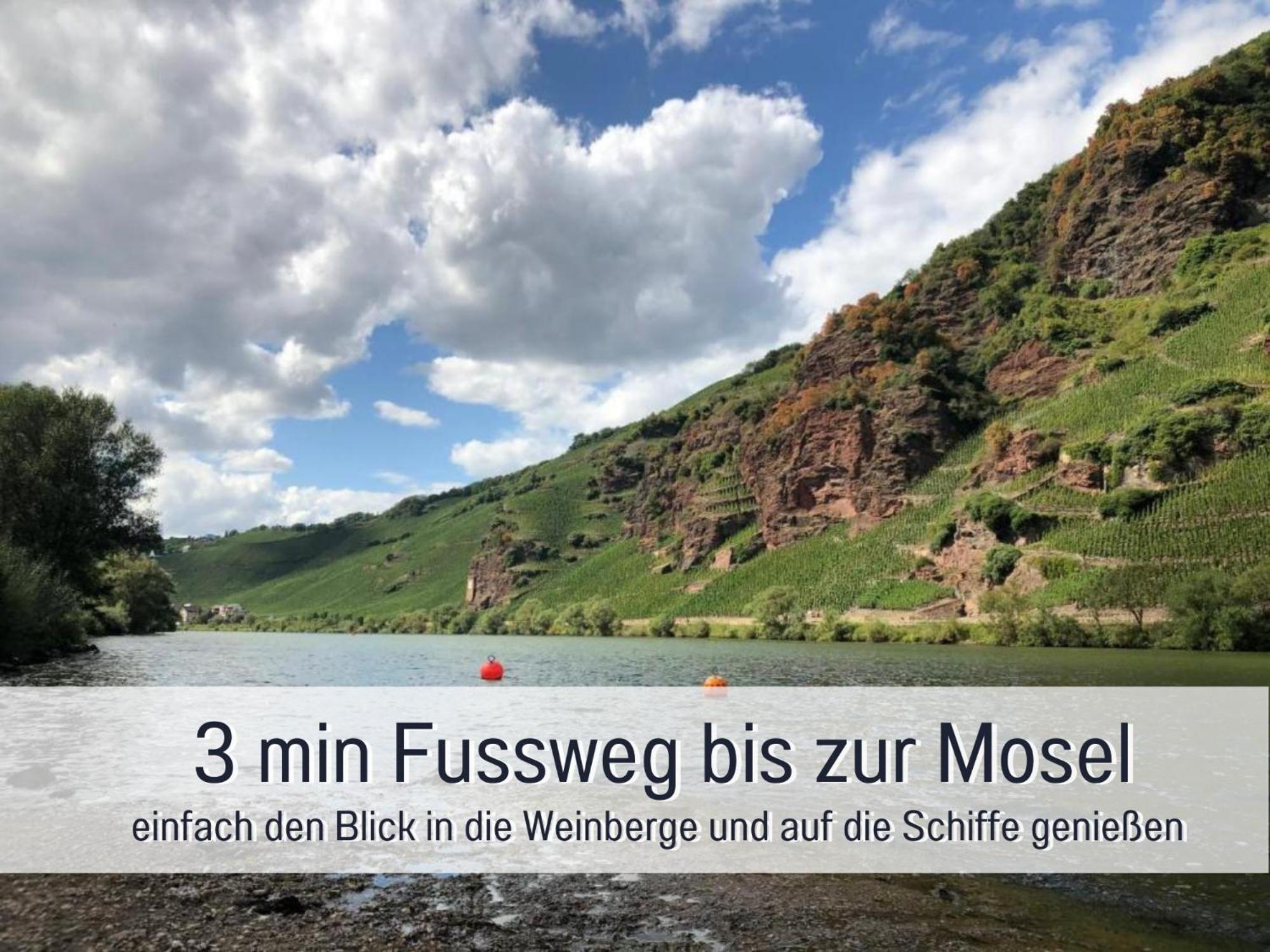 Ferienhaus Schwaab-Scherr, Genau Zwischen Bernkastel-Kues Und Traben-Trarbach, Mit Kostenlosem Oepnv-Ticket Fuer Bus Und Bahn, Parkplaetzen, Fahrradgarage Und Vielen Tipps Erden Extérieur photo